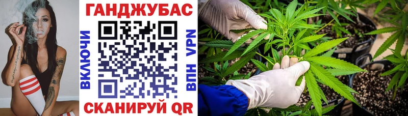 блэк спрут ссылки  дарнет шоп  Новый Оскол  Марихуана сатива 